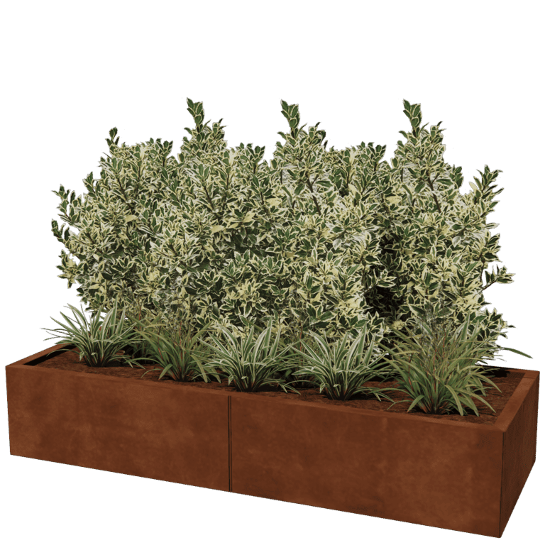 Corten steel planter XXL - Rectangle - 160 x 60 cm