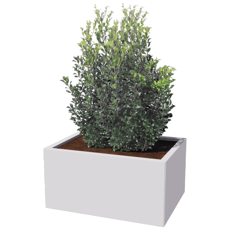 Steel planter - Rectangle - 60 x 80 cm
