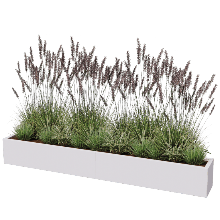 Steel planter XXL - Rectangle - 240 x 30 cm