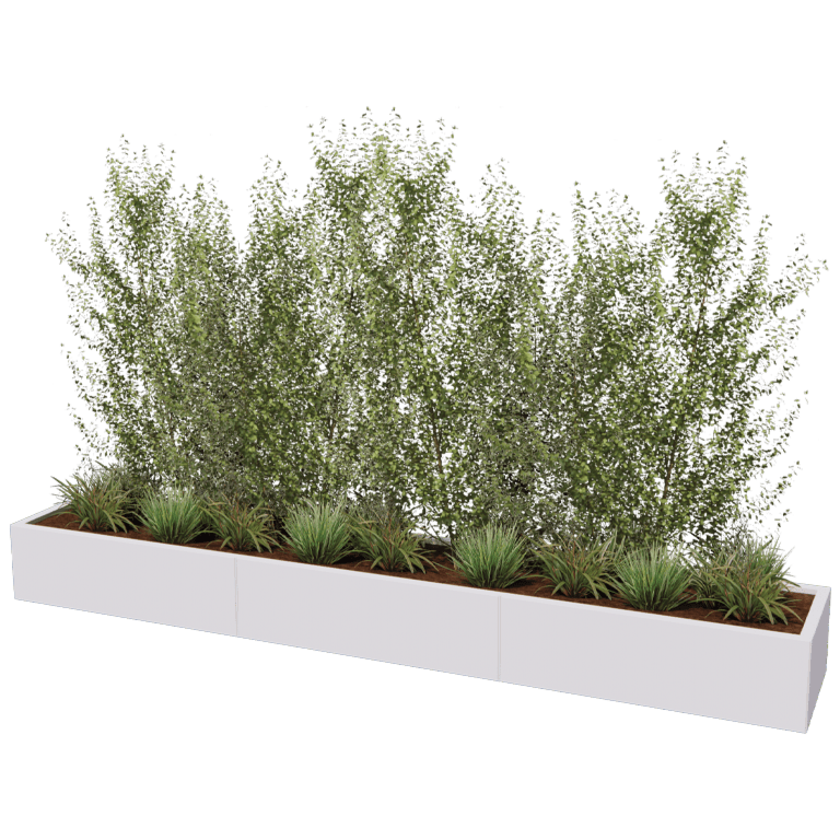 Steel planter XXL - Rectangle - 300 x 50 cm