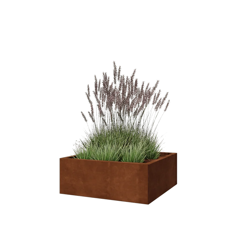 Corten steel planter - Square - 80 x 80 x 30 cm - With bottom plate