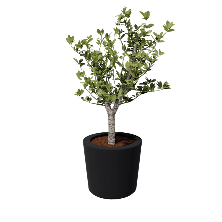 Fibreglass planter - Cone - Ø 63 x 52 cm - RAL7021 matt (black grey) - With bottom
